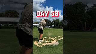 Day 58 of becoming a scratch golfer in 1 year #golf #bammikell #path2scratch #dailyvlog #challenge