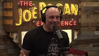 Joe Rogan Experience #1843 - Paul VIrzi