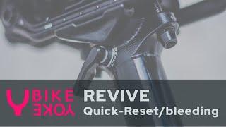 Revive Reset - seatpost bleeding