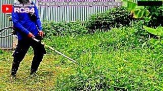 Potong rumput pakai pisau mesin rumput harus selalu berhati-hati jangan terburu buru.