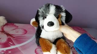 Unboxing Maizie the DLux Australian Shepherd Plush Dog by Douglas Cuddle Toys 