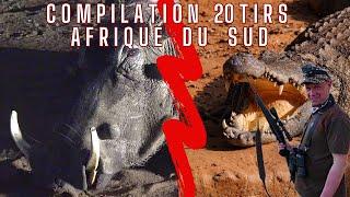 Compilation de 20 tirs spécial Afrique du Sud(Koudou,phacochère,crocodile...)//Hunting 20 Kill Shots