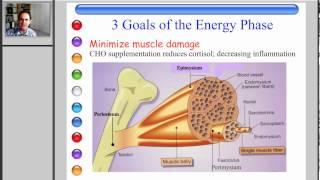 Nutrient Timing