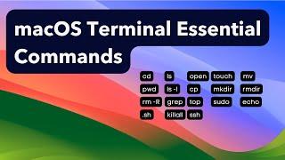 You need to learn these essential commands in macOS