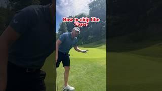 How to chip like Tiger