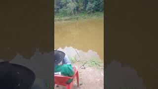 mancing sudah berjam jam tapi tidak dapat ikan#shortvideo #subscribe