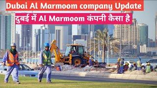 Dubai Al Marmoom company update. How is Al Marmoom company in Dubai.