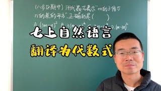 七年级数学上册，自然语言翻译为代数式，一定要精准哦