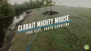 Cast to Catch: Cl8bait Mighty Mouse Wakebait!