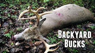 Backyard Bucks in early October!!!