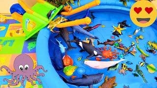 SEA ANIMALS FOR TODDLERS: BLUE CRAB, LEAFY SEA DRAGON, MANTA RAY, SAILFISH, SEAHORSE, AND OTHERS