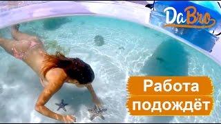 Dabro - Работа подождёт (summer video)