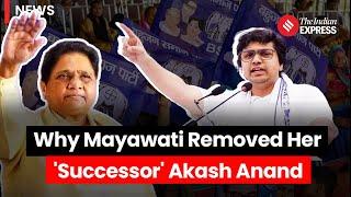 Why BSP Chief Mayawati Removed Her Nephew Akash Anand As Successor?