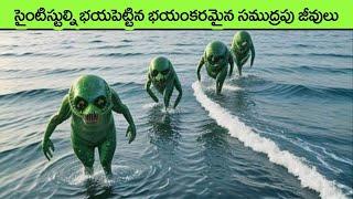 Most Bizarre Deep Sea Creatures Ever Discovered | facts in telugu | interesting facts in telugu