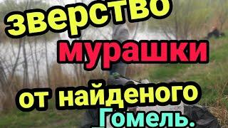 Жуткая находка в Гомеле! Беларусь! Дичь! Как такое можно сделать? Мурашки по коже. Жуткое зрелище!!