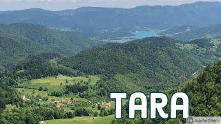 Tara iz vazduha - Zaovine, Janjač, Banjska stena