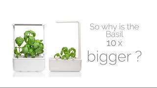 Click&Grow Smart Garden 3 VS  Microgarden Smart Garden