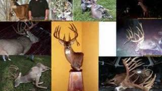 World record whitetail deer 2!!!!!!!!!