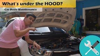 Car Basic Parts (UNDER THE HOOD)