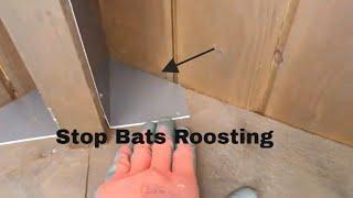 Simple Trick to Stop Bats Roosting (and Pooping) Under Porch Roof