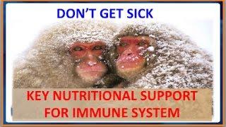 Don't get sick | Key nutrients for Immune support