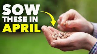 You Must Sow These Seeds in Late Spring