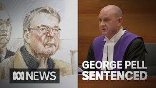 Cardinal George Pell's sentencing in full | ABC News