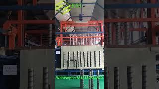 Automatic hanging plating plant