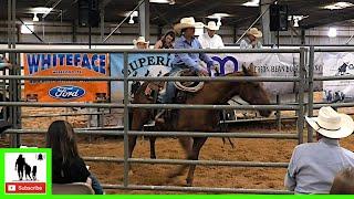 Quarter Horse Sale - 2020 HPRBA Ranch Horse Sale & Futurity