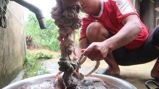 BỮA TỐI NHIỀU ĐẶC SẢN | Nhịp Sống Thường Ngày
