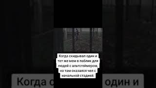 Когда скидывал один и тот же мем в один паблик но там оказался чел с начальной стадией