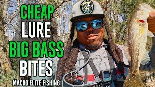 Cheap Lure BIG BASS BITES – IT GETS BIT