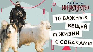 10 фактов о собаках и жизни с ними: опыт Маргариты, Лёвы и Миши