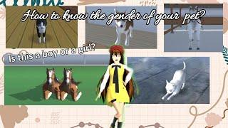 How to know the gender of you pet? || Rainbow Toni 