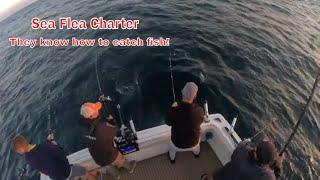 Unbelievable Amount Of Salmon Caught On Lake Michigan Charter Boat - Grand Haven Adventure! #fishing