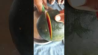 watermelon cutting ideas #farming #facts #fruit #garden #fruitcutting