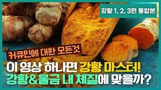 강황 & 울금 효능과 부작용 (먹는 방법, 어떤 게 내 체질에 맞을까?)