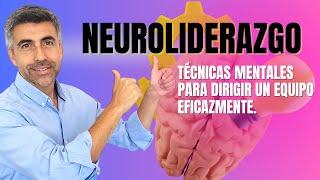 Neuroliderazgo: Las mejores estrategias sobre liderazgo de equipos