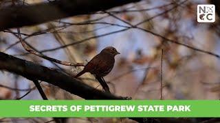 Secrets of Pettigrew State Park