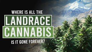 Are Landrace Strains Extinct?