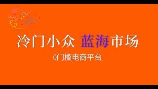 冷门小众的蓝海跨境电商市场，一个人就能开始，同行少，可无货源