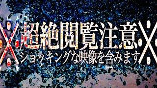 【※戦慄映像】吐き気など催しても一切責任を負いかねます。【※モザイク無し】本当にヤバいので心臓がムキムキな人だけご覧下さい！【Sゴルフクラブ】