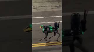 Denver police unveil Colorado’s first robot dog