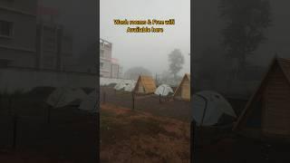 అరకు లో camping & wooden huts #ytshorts #araku #youtubeshorts