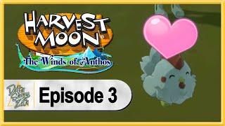 Harvest Moon: The Winds of Anthos WALKTHROUGH PLAYTHROUGH LET'S PLAY GAMEPLAY - Part 3