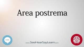 Area postrema   Anatomy of the Brain   SeeHearSayLearn 