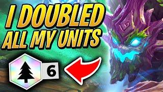 I DOUBLED ALL MY UNITS - 6 WOODLAND SYNERGY! | TFT | Teamfight Tactics Set 2 | League of Legends AC