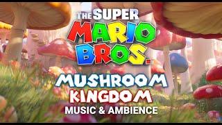 Super Mario Bros |  Mushroom Kingdom Orchestral Music & Ambience with @ASMRWeekly
