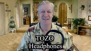 TOZO Adaptive Hybrid Headphones