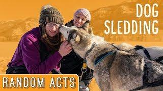 We Surprised Her with an Amazing Dog Sledding Adventure! - Random Acts